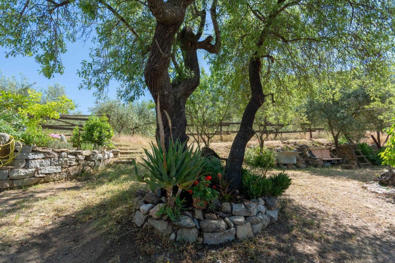 Villa Ferulas Oliena Dış mekan fotoğraf