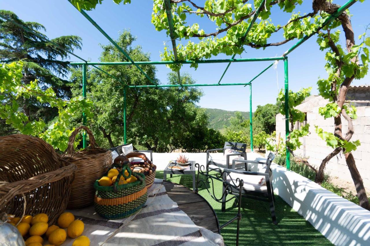 Villa Ferulas Oliena Dış mekan fotoğraf