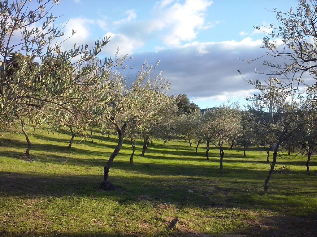 Villa Ferulas Oliena Oda fotoğraf