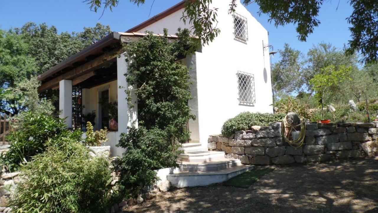 Villa Ferulas Oliena Dış mekan fotoğraf